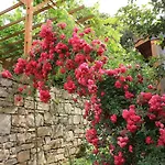 Szálloda Natur-med Hot Springs And Health 3*