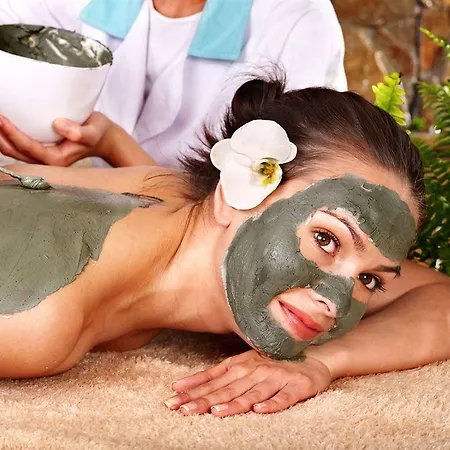 Natur-med Hot Springs And Health Hotel Davutlar