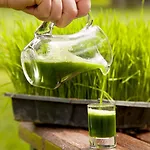 Natur-med Hot Springs And Health Hotel Davutlar