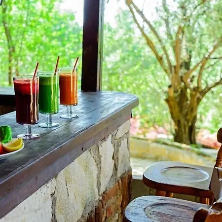 Natur-med Hot Springs And Health Hotel Davutlar