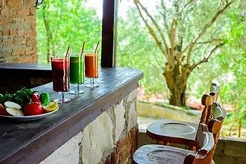 Natur-med Hot Springs And Health 3*