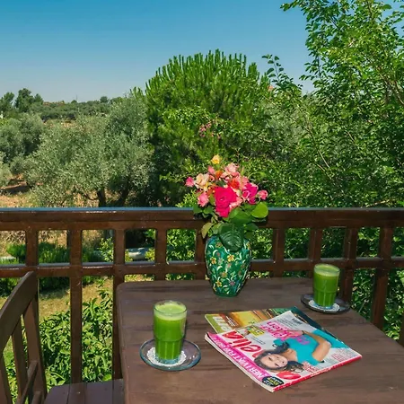 Natur-med Hot Springs And Health 3* Davutlar