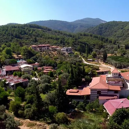 Natur-med Hot Springs And Health 3* Davutlar