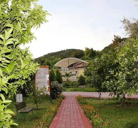 Natur-med Hot Springs And Health 3* Davutlar